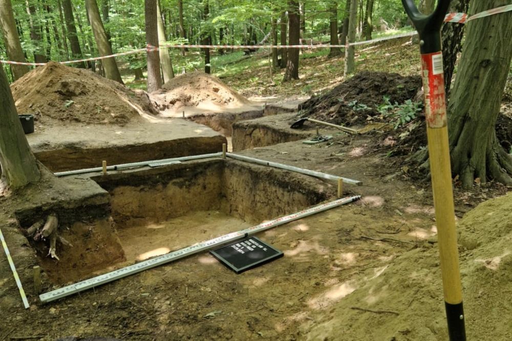 Zespół archeologów zgłębia dzieje Grodziska i jego mieszkańców